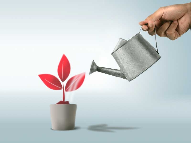 Business growth with BL&D Consultancy